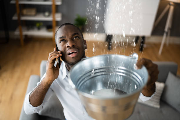 Best Water damage restoration near me  in Goodman, MO