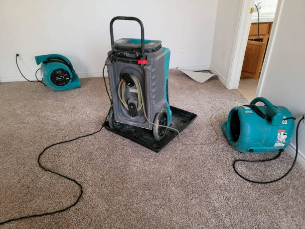 Best Fire Damage Restoration  in Goodman, MO