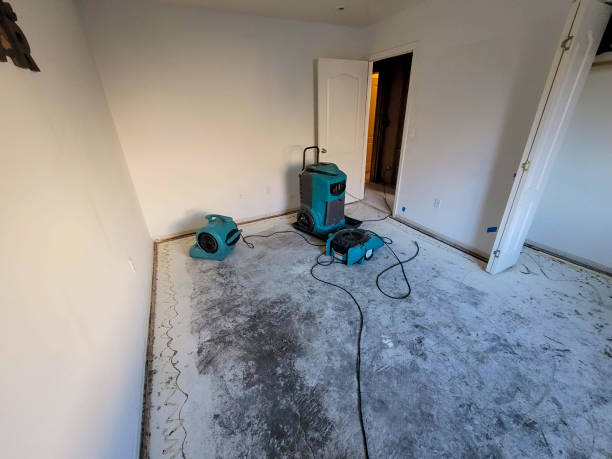 Best Basement water damage restoration  in Goodman, MO