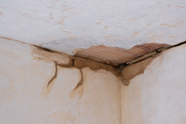 Best 24-hour water damage restoration  in Goodman, MO