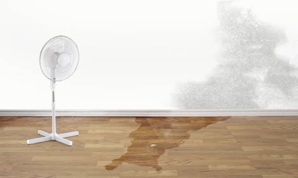 Best Water damage restoration experts  in Goodman, MO