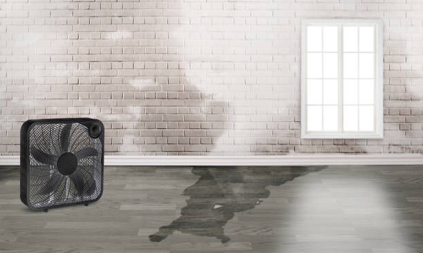 Best 24/7 water damage repair  in Goodman, MO