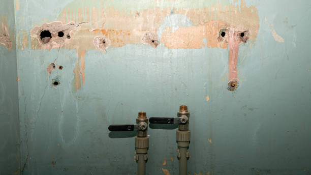  Goodman, MO Water damage restoration Pros