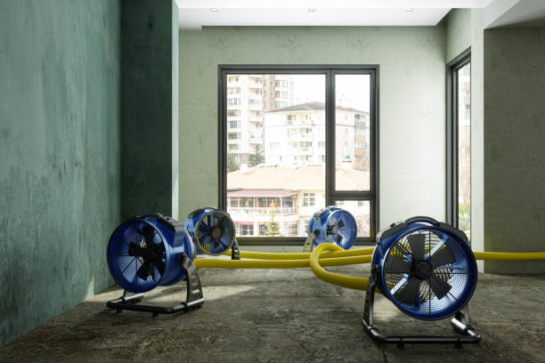 Best Water damage restoration process  in Goodman, MO